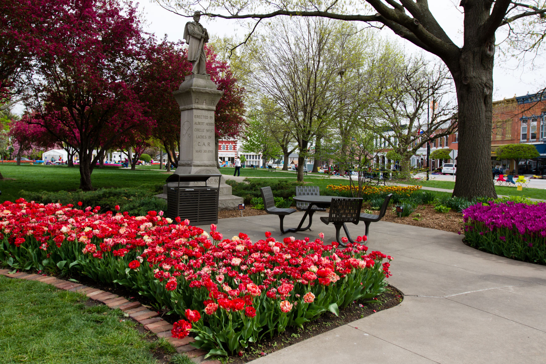 84th ANNUAL TULIP TIME